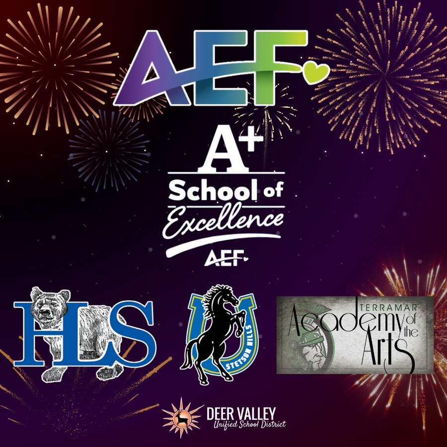 AEF A+ Schools 2025.jpg