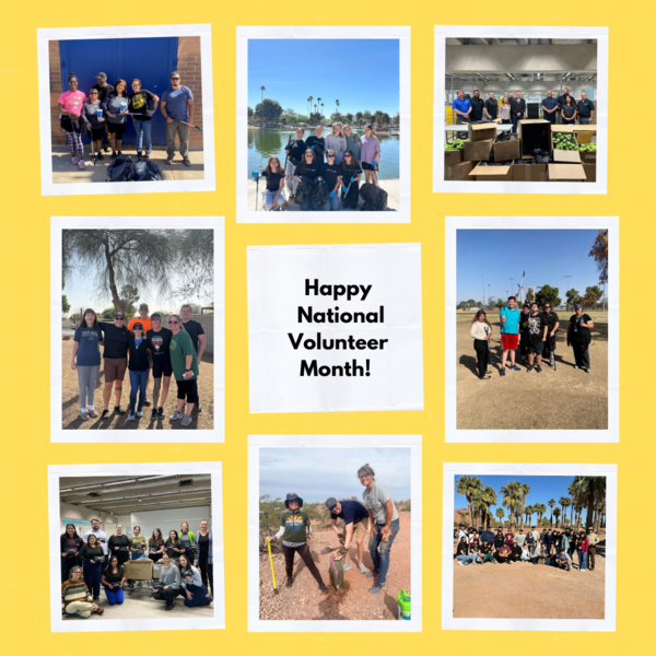 Newsletter - National Volunteer Month.png