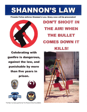 shannons law 2015_foundation ENG.png