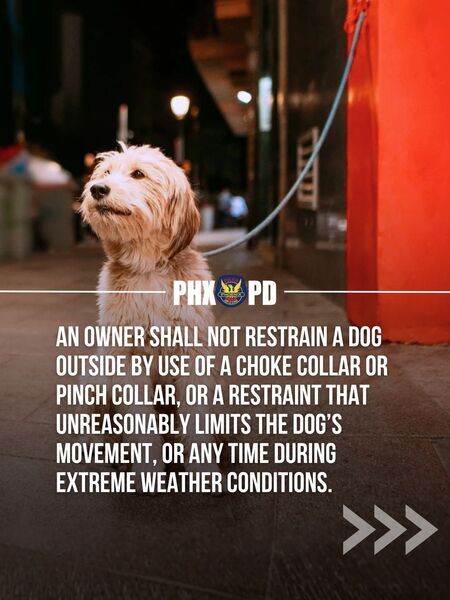 2026 Dog Restraint Ord Update 02-en.jpg