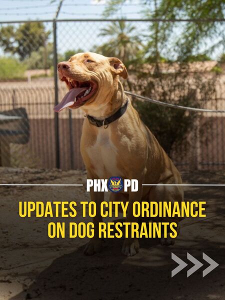 2026 Dog Restraint Ord Update 01-en.jpg