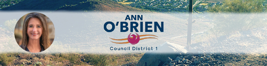 O'Brien Newsletter Header.jpg