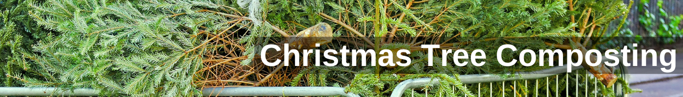 Christmas Tree Recycling header.png