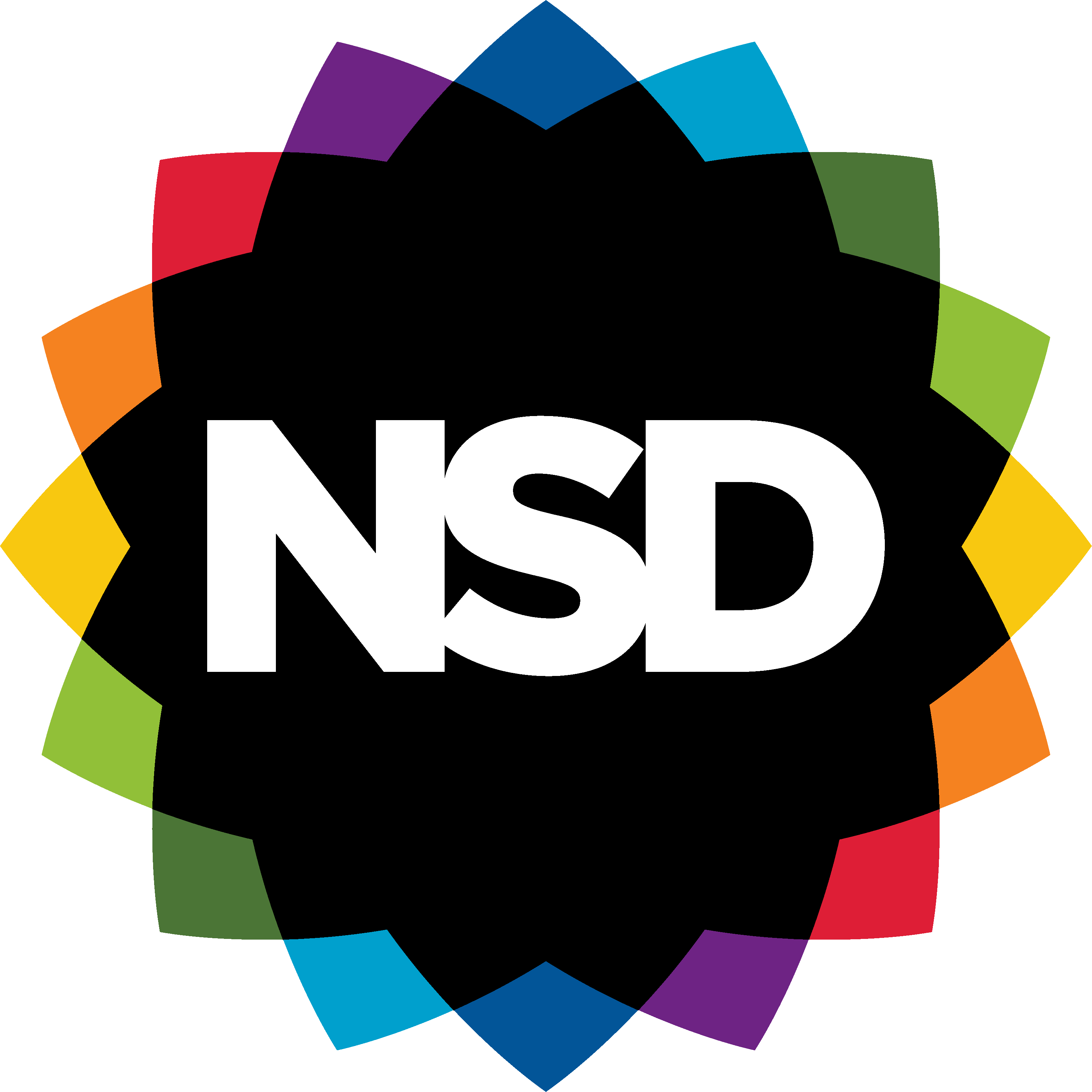 NSD Logo for Shirts.png