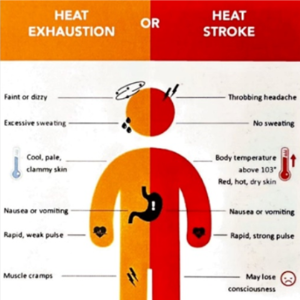 Heat Chart.png